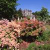 Springtime At Torosay Castle From Gardens Island Of Mull