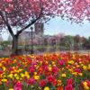 Springtime View Of Paisley Abbey Paisley Town Centre Renfrewshire