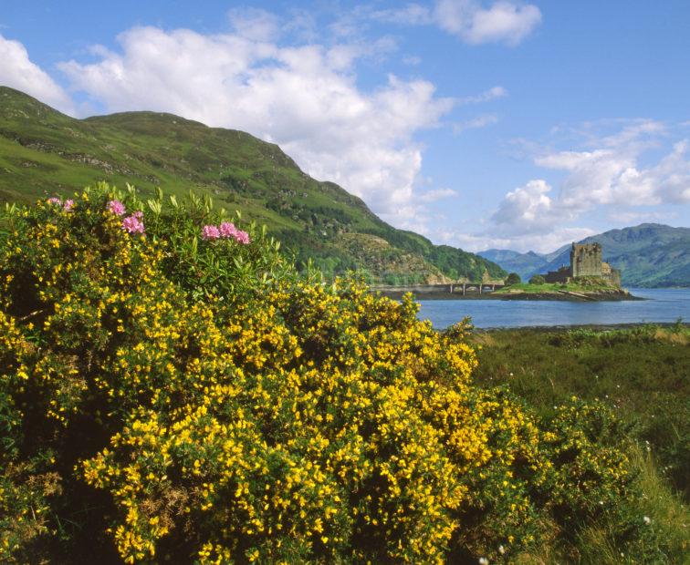 Eilean Donan Castle 2