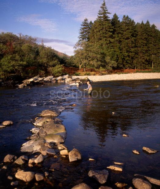 Fishing On The River Orchy In Glen Orchy Argyll