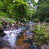 RIVER IN GLEN SCAMMADALE