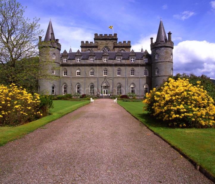 Inverary Castle Yellow Flowers