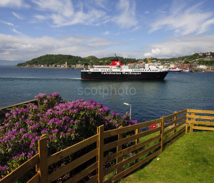 DSC 0331 MV Isle Of Mull Arrives Oban June 2012