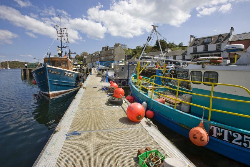 I5D0413 Unusual View Of Tarbert Harbour From Pontoons Loch Fyne