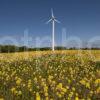 Wind Turbine Nr Girvan Ayrshire