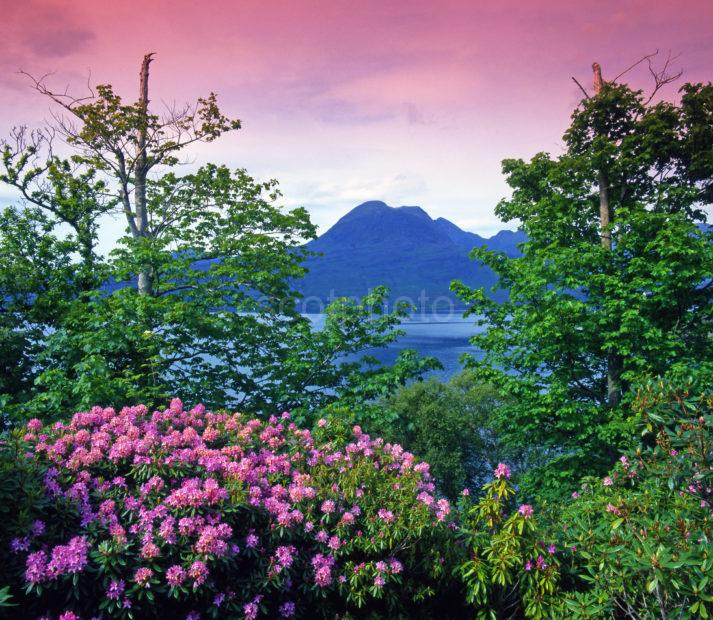 Loch Torridon And Beinn Alligin