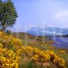 LOCH STACK AND BEN ARKLE