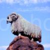 The Lmoffat Sheep The Colvin Fountain And Bronze Ram