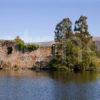 Ruins Of Lochan Eilein Castle Rothiemurchas Forest