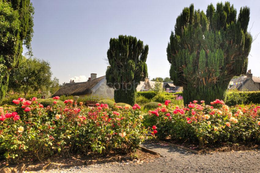 BURNS COTTAGE GARDEN ALLOWAY