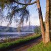 Peaceful View Of Loch Etive Near Achnacloich Pier Argyll