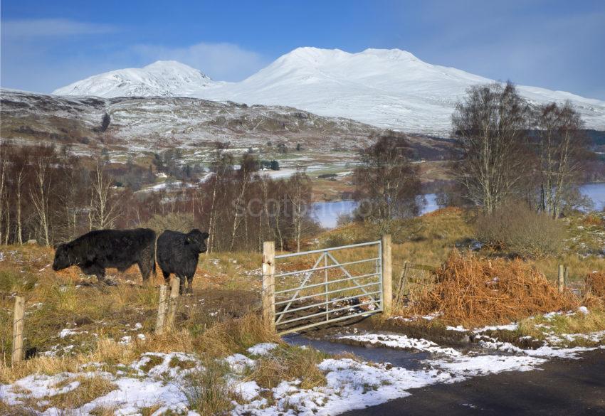 Towards Ben Lawers From South Side Of Loch Tay Perthshire