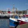 DSC 8983 FISHING BOATS AND MV ISLE OF MULL OBAN