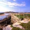 Hilbre Island Wirrel