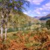 Towards Glenfinnan Viaduct In Autumn Lochaber