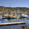 Tarbert Harbour Loch Fyne