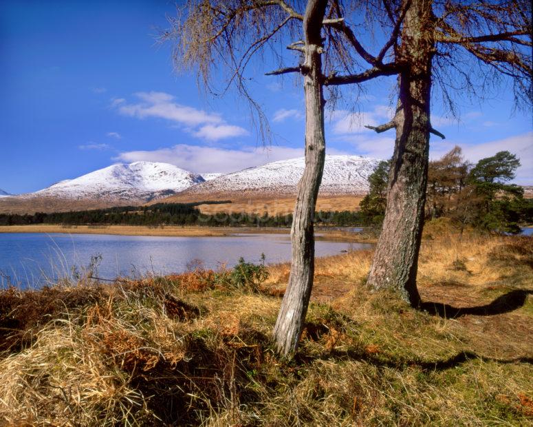 Loch Tulla And Stob Gabhar From Black Mount Forest Bridge Of Orechy