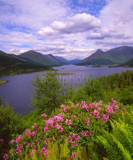 Summer View Towards The Pap Of Glencoe Ballachulish And Loch Leven As Seen From Glenachulish Forest Walk West Highlands