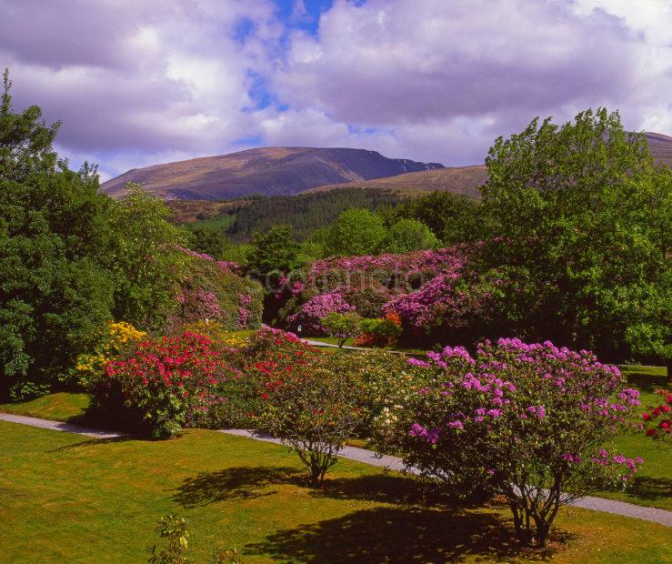 View Towards Ben Nevis Lochaber