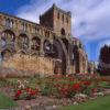 Summer View Of Jedburgh Abbey From The Gardens Jedburgh Roxburghshire