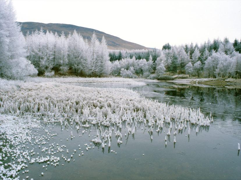 Loch Locbhair Frosty Scene