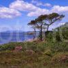 View From Roshven Towards The Islands Of Eigg And Rhum Lochailort North West Highlands