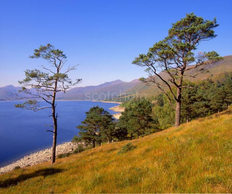 Loch Quoich Scottish Highlands