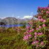 Loch Katrine