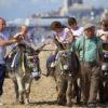 Donkey Rides Blackpool