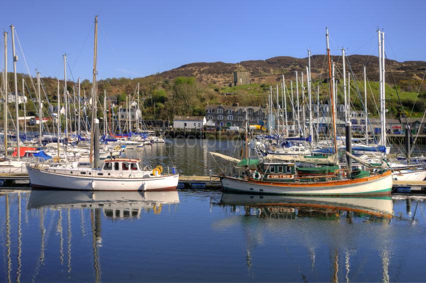 BUSY SCENE TARBET HARBOUR L FYNE 2014