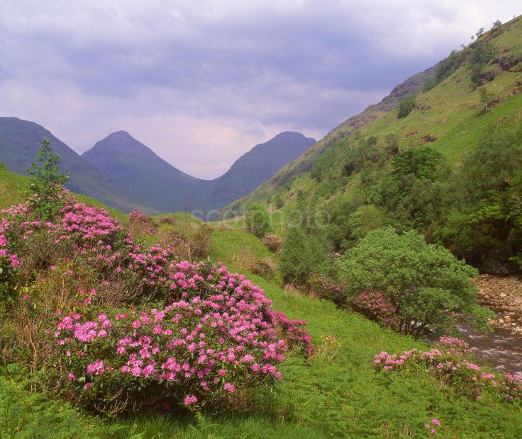 Springtime Scene In Glen Etive With River Etive Argyll