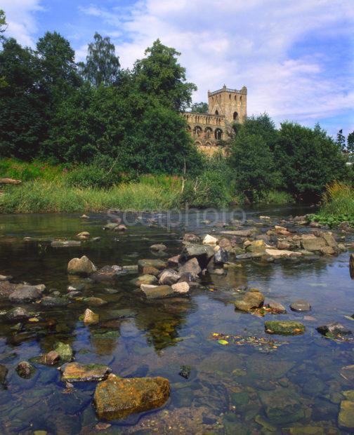 Jedburgh Abbey From The River Jed Water Roxburghshire Borders