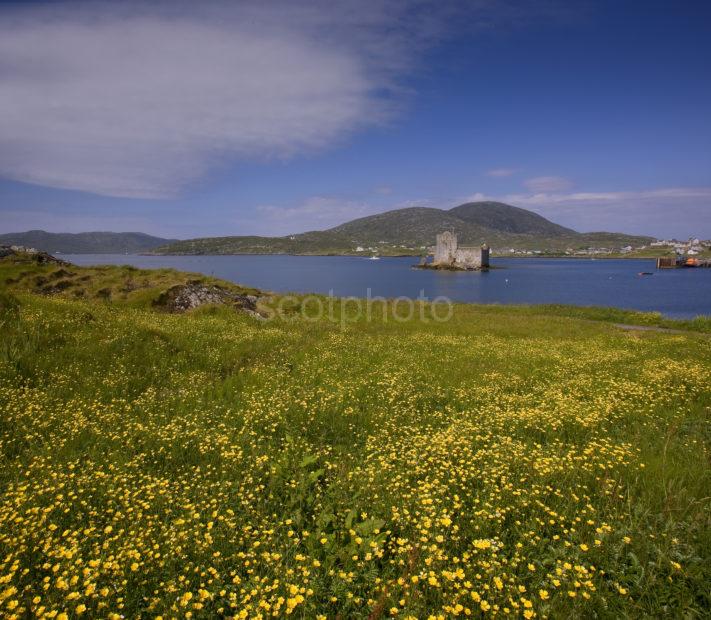 Castlebay And Kisimul Castle In Spring