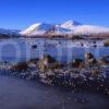 WINTER WONDERLAND LOCH BA RANNOCH MOOR