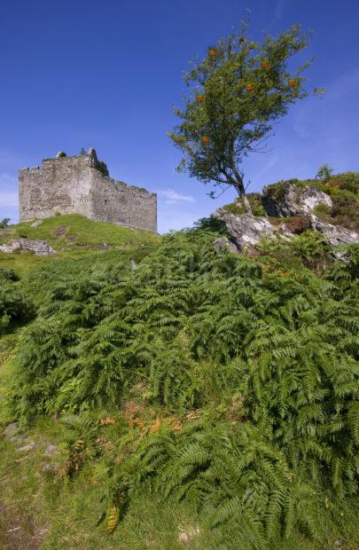 Castle Tioram Loch Moidart Nr Acharacle No Tony