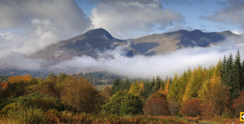 PANORAMIC AUTUMN VIEW BEN CRUACHAN DALMALLY