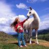 Visitor At Scottish Rare Breeds Park Feeds A Lama Argyll