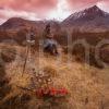 A Highlander Relaxes Amongst The Wild West Highland Scenery Glencoe West Highlands