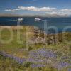 TWO FERRIES PASSING SEEN FROM KERRERA 2013