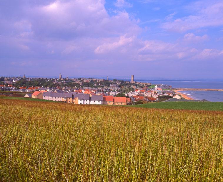 A Beautiful Summer View Across The Golden Fields Towards St Andrews Fife