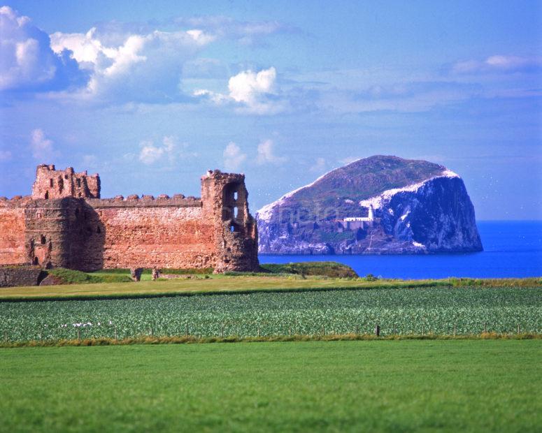 Tantallon Castle And Bass Rock East Lothian