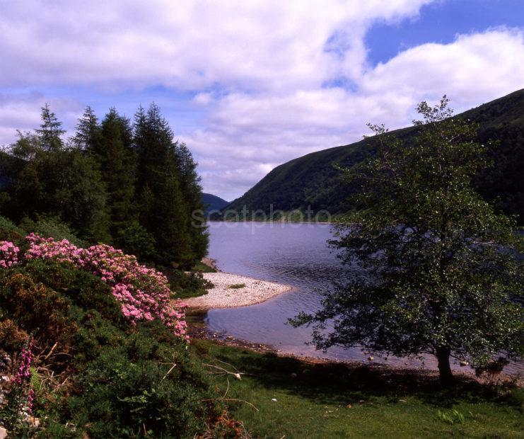 Loch Dhughail Glen Carron West Ross