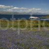 MV CLANSMAN AFTER DEPARTING OBAN