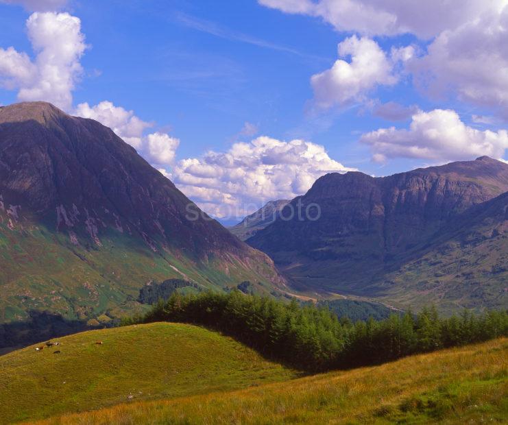Summer View Looking Up The Famous Pass Of Glencoe West Highlands