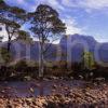 Loch Maree From River