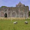 Skipness Castle With Sheep Grazing