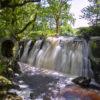 0I5D0652 The Falls Of Blairgour Loch Awe Argyll