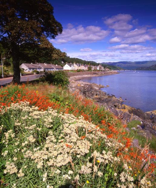 LATE SUMMER IN TIGHNABRUAICH