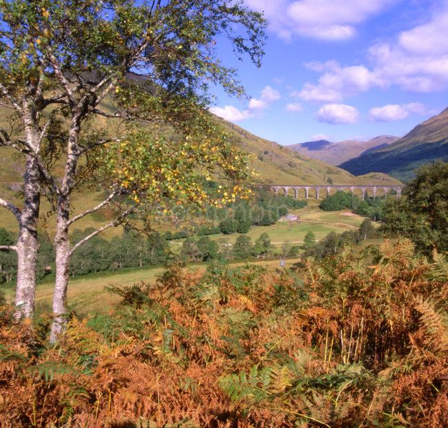 Towards Glenfinnan Viaduct In Autumn Lochaber