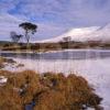 Winter From Frozen Shore Of Loch Tulla Nr Bridge Of Orchy West Highlands